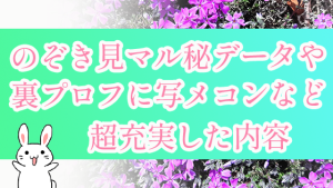 のぞき見マル秘データや裏プロフに写メコンなど超充実した内容