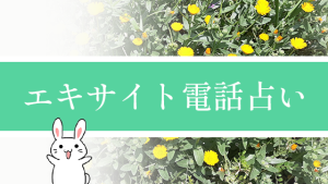 エキサイト電話占い