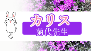 カリス 菊代先生
