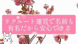 リクルート運営で名前も有名だから安心できる