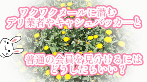 ワクワクメールに潜むデリ業者やキャシュバッカ―と普通の会員を見分けるにはどうしたらいい？