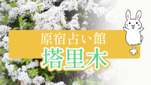 原宿占い館 塔里木