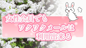 女性会員でもワクワクメールは利用出来る