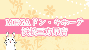 MEGAドン・キホーテ浜松三方原店