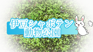 伊豆シャボテン動物公園